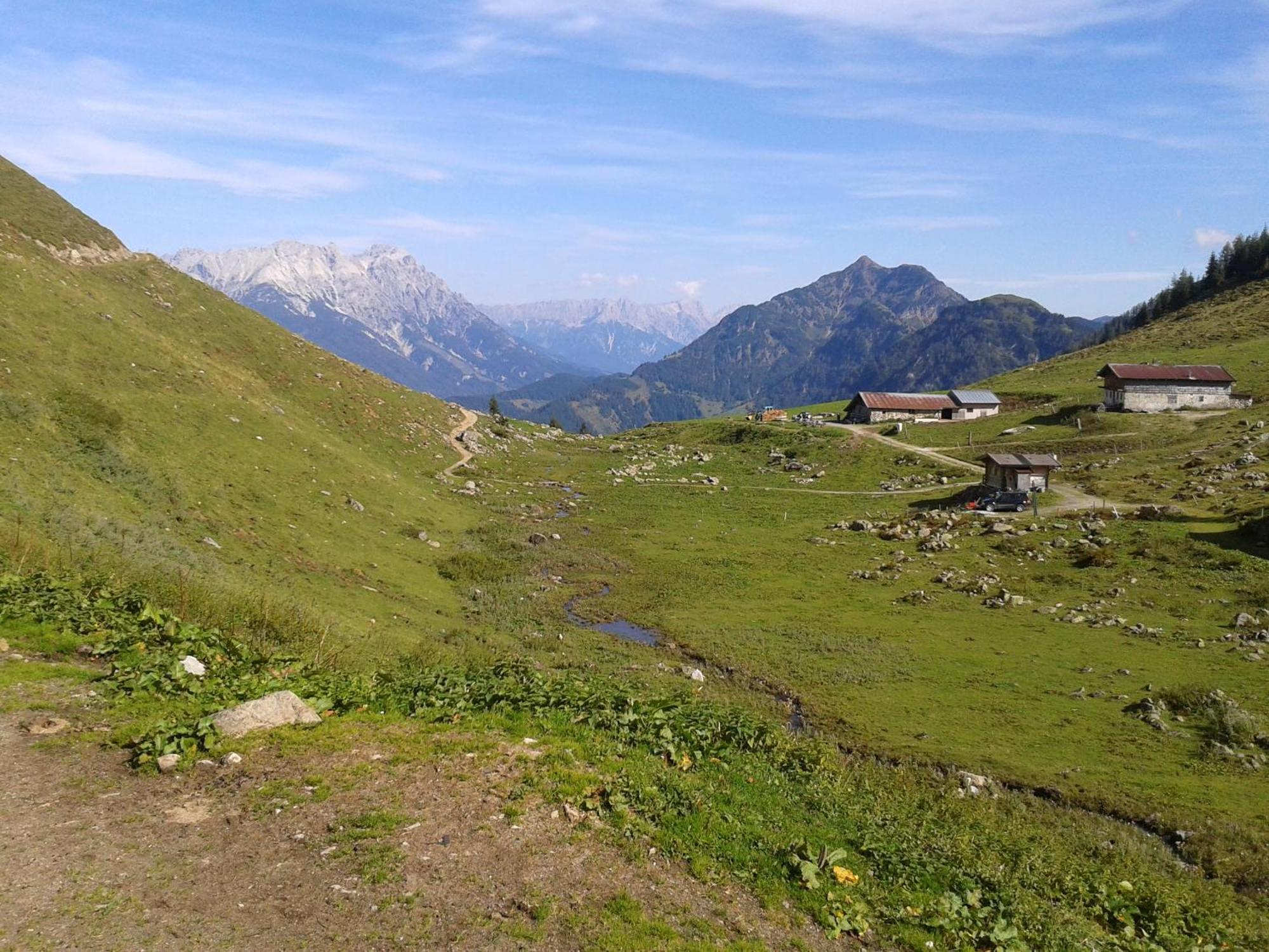 Ferienwohnung Biechl-Hauser Doris Sankt Ulrich am Pillersee Exteriör bild